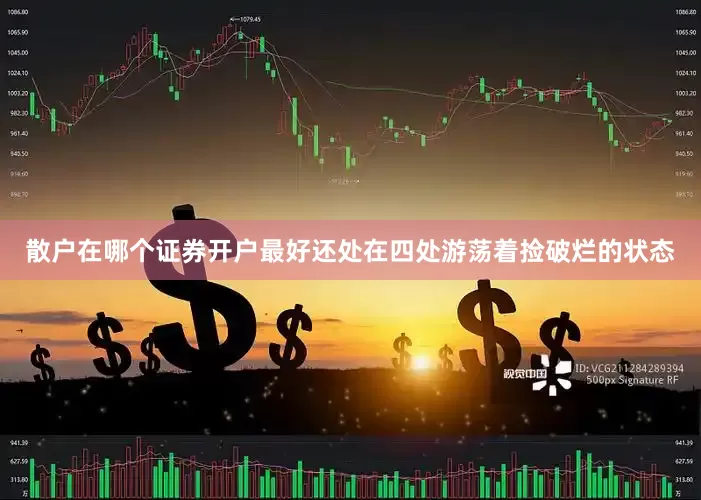 散户在哪个证券开户最好还处在四处游荡着捡破烂的状态