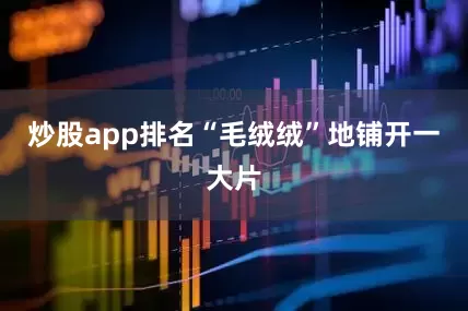 炒股app排名“毛绒绒”地铺开一大片